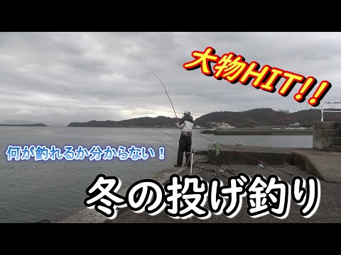 何が釣れるか分からない！冬の投げ釣りで大物GET！