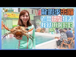 【釣蝦小益思】台中龍蝦池都亂放  公竿也能出大貨   #釣蝦 #i呀我的蛋 #新聞 #主播 Shrimpfishing  エビ釣り  새우 낚시