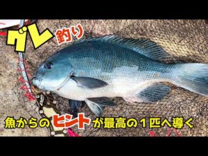 【グレ釣り】和歌山・南紀の地磯で初冬グレを狙う!【磯釣り】