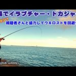 【沖縄釣り】【フカセ釣り】那覇でイラブチャートカジャー！視聴者さんと協力してウキロスト回避！