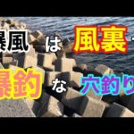爆風は風裏で爆釣な穴釣り 知多半島