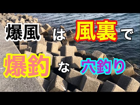 爆風は風裏で爆釣な穴釣り 知多半島