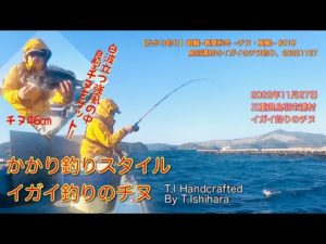 【かかり釣り】銀鱗−春夏秋冬 −チヌ・真鯛− #019 鳥羽浦村のイガイのチヌ釣り20221127
