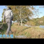 東京都八王子 日野用水堰で小物釣り。人生初の〇〇釣りました～！