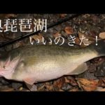 【奥琵琶湖】秋→冬　奥琵琶湖の釣りを楽しんできました