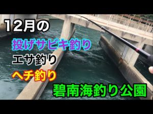 12月の投げサビキ エサ釣り ヘチ釣り 海釣り公園 碧南釣り広場