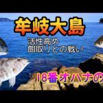 【牟岐大島 磯釣りシーズン2nd Part Ⅱ】 徳島グレ釣り本場 強者達が切磋琢磨して腕を磨いたエリアでグレを狙う