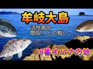 【牟岐大島 磯釣りシーズン2nd Part Ⅱ】 徳島グレ釣り本場 強者達が切磋琢磨して腕を磨いたエリアでグレを狙う