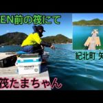 ♯34 矢口浦のオープン前の筏でかかり釣り‪🎣‬✨