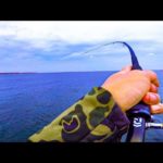 北海道の堤防からルアー釣り！コマイの引きで竿が・・・