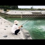 釣り初心者の妻がお魚だらけの水路で釣りすると…
