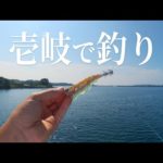 壱岐で釣りしてみた【エギング】