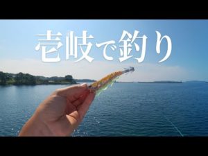 壱岐で釣りしてみた【エギング】