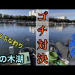 【へらぶな釣り】冬のセット釣りでゴチ対決！