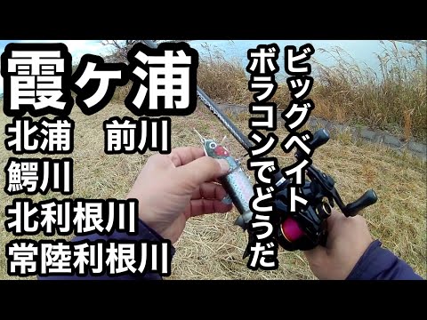 今週のバス釣り霞ヶ浦釣行ビッグベイトで1本2022年12月11日