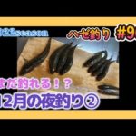 2022年【ハゼ釣り#96】12月中旬‗こんなに寒くてハゼは釣れる！？夜な夜なハゼ釣り６日間☆‗釣果情報