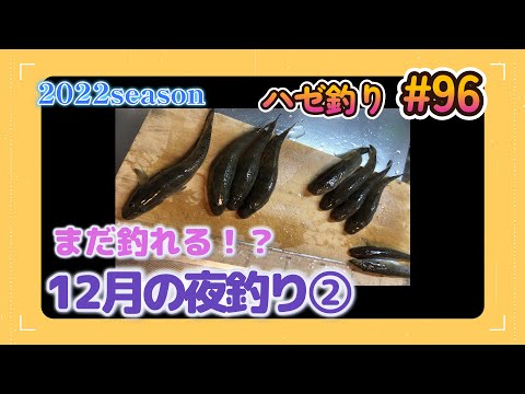 2022年【ハゼ釣り#96】12月中旬‗こんなに寒くてハゼは釣れる！？夜な夜なハゼ釣り６日間☆‗釣果情報
