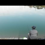 2023月初釣行に行きました。ヘラブナは釣れるのか？【トーベエ釣三昧】【野釣り】