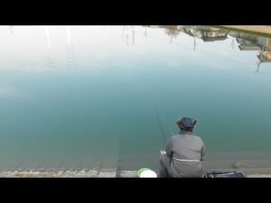 2023月初釣行に行きました。ヘラブナは釣れるのか？【トーベエ釣三昧】【野釣り】