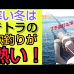 冬休みは【穴釣り】で決まり！竿がぶち曲がる大物も！
