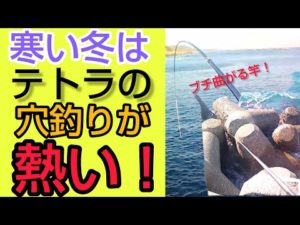 冬休みは【穴釣り】で決まり！竿がぶち曲がる大物も！