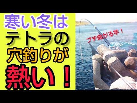 冬休みは【穴釣り】で決まり!竿がぶち曲がる大物も!
