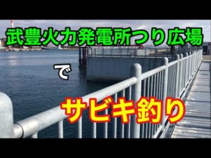 武豊火力発電所つり広場でサビキ釣り 知多湾