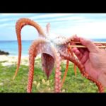 生タコの踊り食い（韓国料理サンナクチ・산낙지 ）