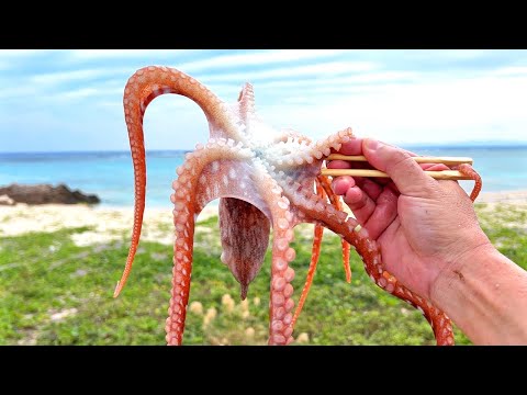 生タコの踊り食い（韓国料理サンナクチ・산낙지 ）