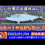 【高知県㊙️釣り情報】同じ日に、違う場所で、違う魚で、同じことが起こる（笑）