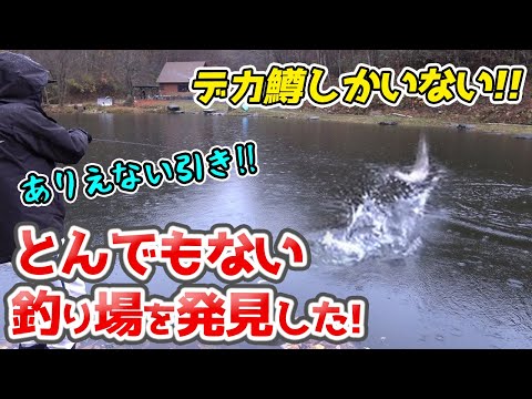 大型魚がボコボコに釣れる恐ろしい釣り場を発見【エリアトラウト・Fishing Bums Wadona(フィッシングバムスワドナ)／HartDesign TV【Vol.387】