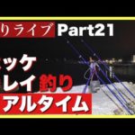 【釣りライブ】Part21 ホッケ・カレイ釣りのリアルタイム！ in岩内港