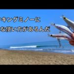 釣りのプロにルアーの使い方を教わってたら大物が釣れてびっくりした話。