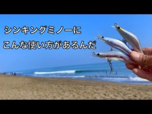 釣りのプロにルアーの使い方を教わってたら大物が釣れてびっくりした話。