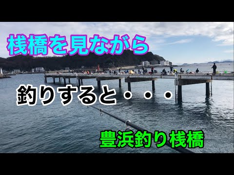 桟橋を見ながらの釣りすると・・・豊浜釣り桟橋
