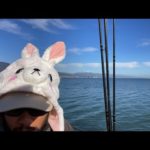 琵琶湖バス釣りライブR5-11/1