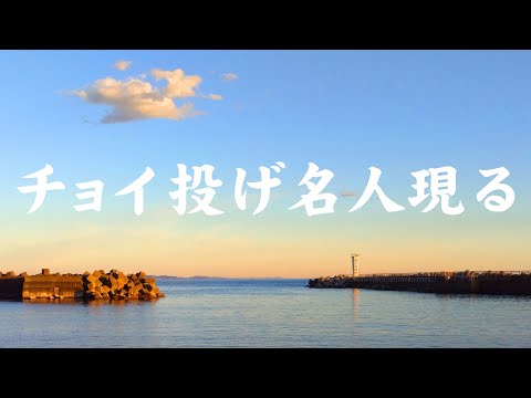 【実証動画】真冬にチョイ投げして魚が釣りたいなら大磯港へ行くっきゃない!!