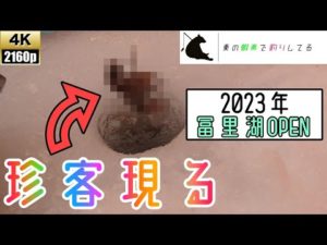 え？？ちょっ....え？なんであなたが釣れるんですか。なまら楽しい冨里湖でワカサギ釣り