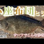 2022年ラスト釣行。開始早々、小座布団ヒラメが釣れた！