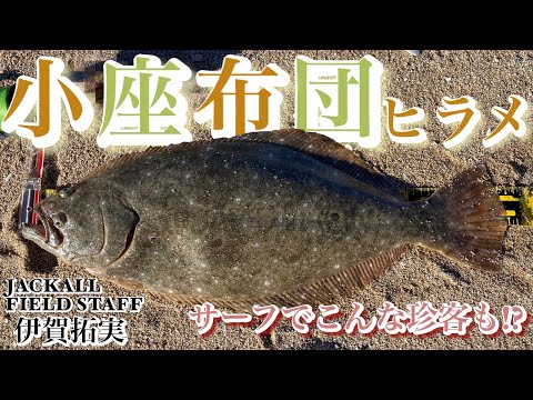 2022年ラスト釣行。開始早々、小座布団ヒラメが釣れた!