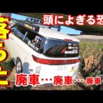 【鯉釣り】登竜門が開発中のドラゴンボイリーを使用して釣行会in埼玉県