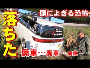 【鯉釣り】登竜門が開発中のドラゴンボイリーを使用して釣行会in埼玉県