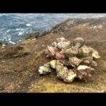 どうやら踏み込んではいけない釣りに手を出してしまいました…