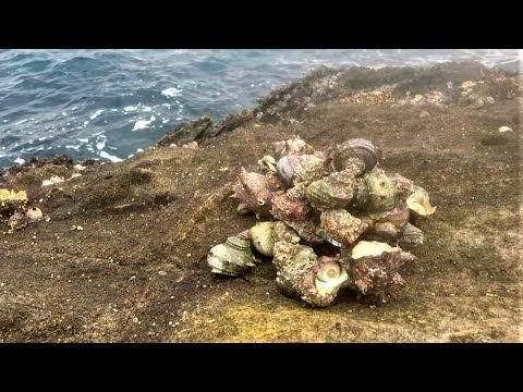 どうやら踏み込んではいけない釣りに手を出してしまいました…