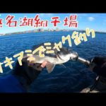 網干場でミャク釣り