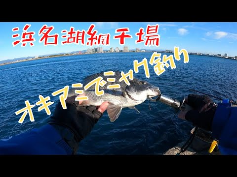 網干場でミャク釣り