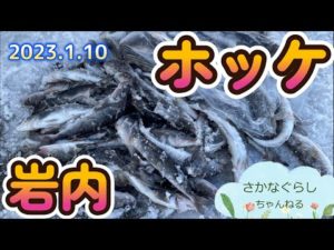 岩内でホッケ釣り！ホッケフライで食べたら激ウマ！