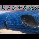 【グレ釣り　磯釣り】巨大グレを求めて