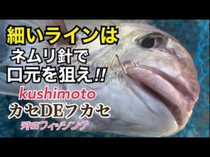 串本カセ釣り　青物、真鯛狙い‼︎  河田フィッシング