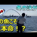 泳がせ釣りで外道扱いされてる魚が実は絶品なんです！このポテンシャルはヤバイ！【59釣目】